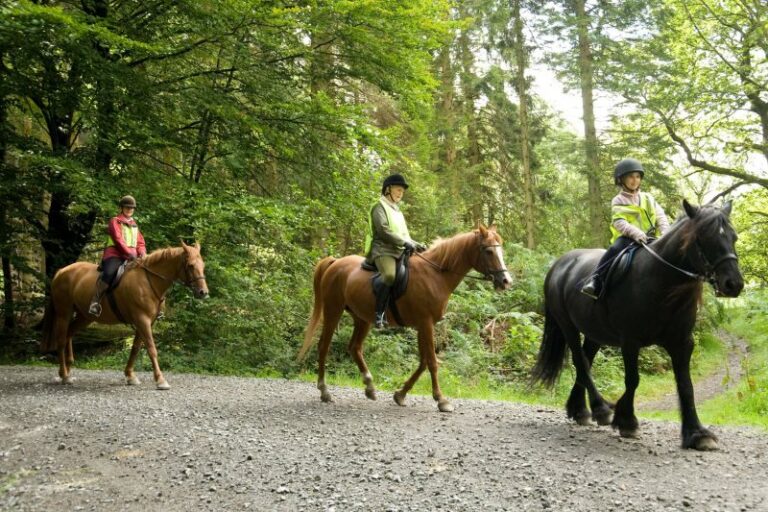Reiter auf einem Waldweg